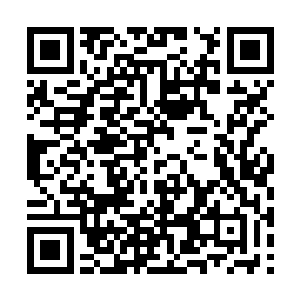 我也听张爱卿说你受了箭伤……张爱卿没有过来吗二维码生成