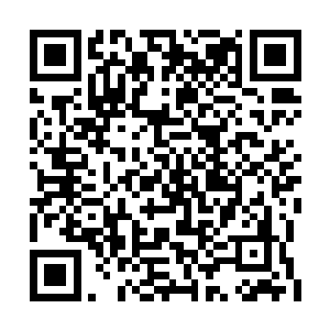 我也在家经常听父亲说着君伯伯以前的一些事迹二维码生成