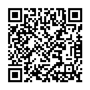 我也好奇留住在这里的弟子们居然不会感到害怕二维码生成
