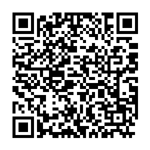 我也就是觉得ri后咱们城市发展对园林景观设计的需求也会越来越高二维码生成
