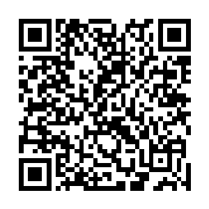 我也很想知道陈南露和我师兄到底是真的还是被人污蔑了二维码生成