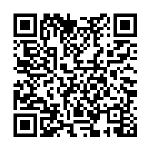 我也想不出来谢一鸣有什么可值得对我撒谎的事情二维码生成