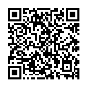 我也想告诉你说我今天是开着我的宾利跑车过来而不是挤公交二维码生成