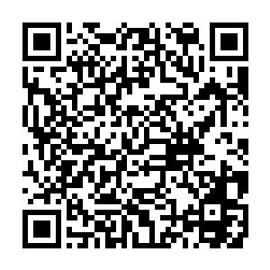 我也想告诉你说我昨天晚上吃的是法式牛排和鹅肝鹅肝太老让我难以下咽二维码生成