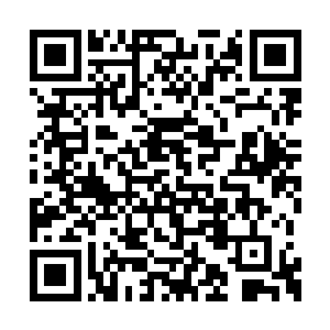我也想将这支万人规模的商团护卫投送到安迪城二维码生成