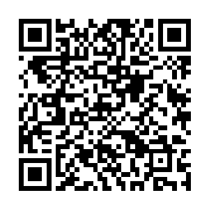 我也想要看看你的杀破剑诀是不是有什么新的进步二维码生成