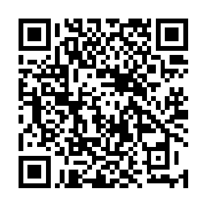 我也是临时接到瓦尔斯先生的通知这才紧急飞往云东的二维码生成