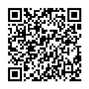 我也是刚刚才从师父口里确定自己修到了第四层二维码生成