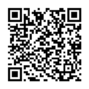 我也是刚才过来的时候才听老师说你们班是第一个二维码生成