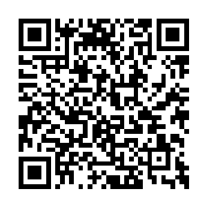 我也是听说这里有命案特意赶过来看一下情况的二维码生成