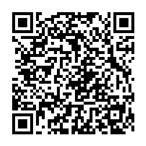 我也是因为太喜欢她了……要不是老爷一定要逼着我和韩月成亲的话二维码生成
