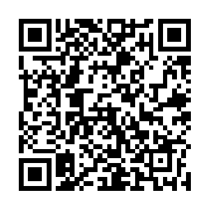 我也是在夜色的藏书阁中偶尔翻阅一本秘籍时才看见的二维码生成