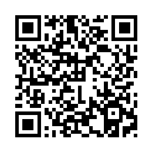 我也是有段时间都没有看到两个小家伙了二维码生成