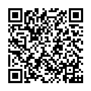 我也是机缘巧合之下才把这门秘法修炼到了如此的境界二维码生成
