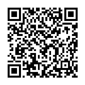 我也是深知的…………现在既然这般不尴不尬的晾着二维码生成