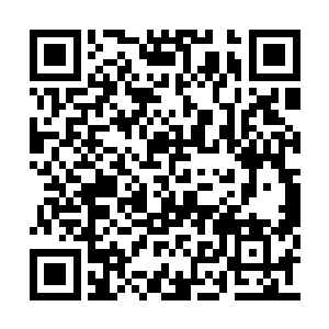 我也是看你三哥要出远门了一时着急才乱了分寸二维码生成