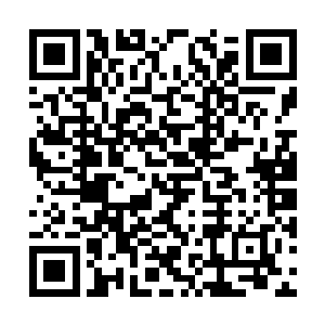 我也是第一次坐着这样子的专船欣赏这样子的风景二维码生成