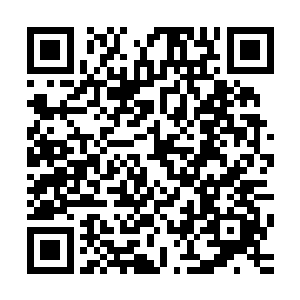 我也是这两天在思考我将来修炼道路的时候才一下子惊醒过来二维码生成