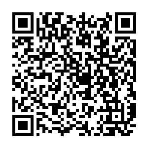 我也是这个世界上唯一一个能把被你一折为二彻底毁坏的龙王兰修复的人二维码生成