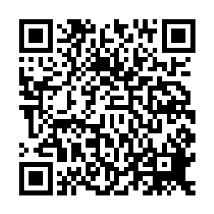 我也没想到新研制出来的炸药丹会这么猛啊……配合你的阵法二维码生成