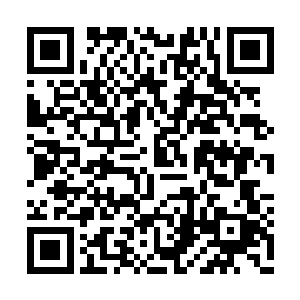 我也没有留下魔龙开始消化清理这片区域的意思二维码生成