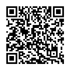 我也猜测多半是元神上有什么我无法查出的隐患二维码生成