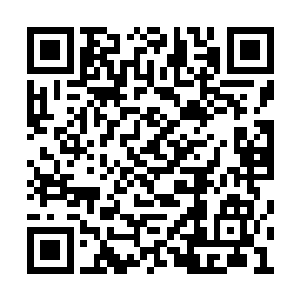 我也看到念匀的身上隐蔽的一些那些细小的淤痕二维码生成