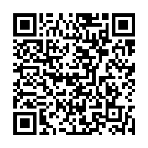 我也知道陆书记对梓城提出的打造黄金三角生态后二维码生成
