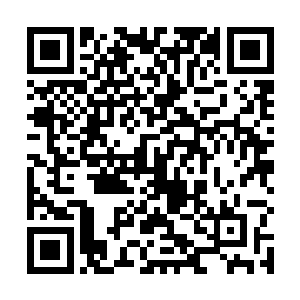 我也脚步钉在原地转身清浅笑容望向走来的骨器店老板二维码生成