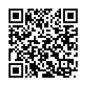 我也自然能够成为这片森林的原始神二维码生成