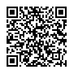 我也要去看看温柔姐姐有没有把方炎给拦截下来要不二维码生成