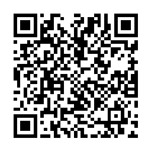 我也通过一些渠道了解了发展猕猴桃深加工产业的可能性二维码生成