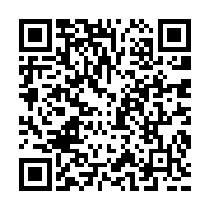 我争取爆爆爆……qq浏览器书架看盗版有碰到重复情况的读者二维码生成