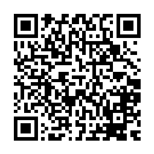 我亦讶然澹台璃刚才为何会有那样的问题问询守林人师父鬼魂二维码生成