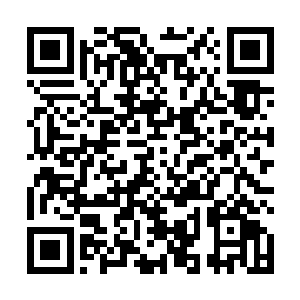 我亲眼看到她被那些混蛋用斧子活生生的剁成了好几块二维码生成