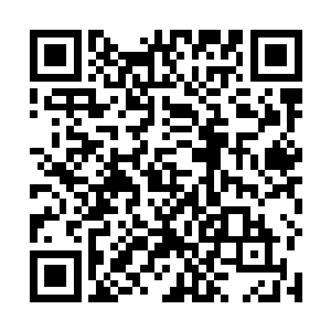 我什么时候喜欢……妮娜想说自己什么时候喜欢明星了二维码生成