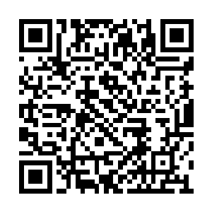 我什么时候能看一看你们蛮荒之地的那位大人啊二维码生成