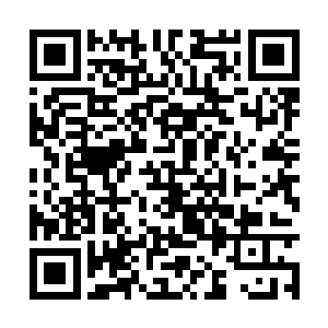 我什么时候说过乙肝解毒王同时使用过这两种药物二维码生成