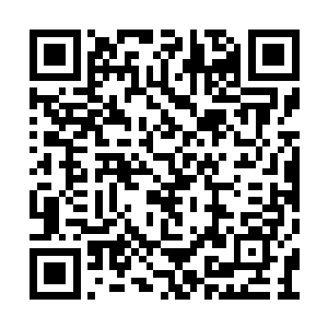 我什么都没做……不是我做的……我是淑妃……二维码生成