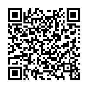 我今天加了一味新调料看看你能不能吃出来是什么二维码生成