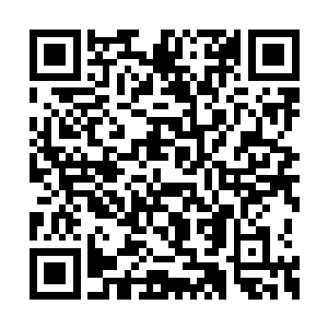 我今天和孩子们出去听见街上的人都在唱这首歌二维码生成