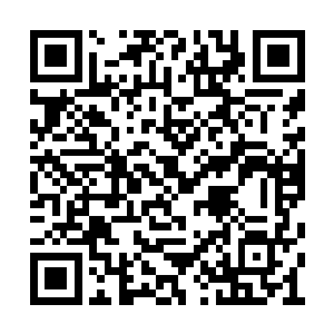 我今天要带叶尘回家族让族中长老为他救治一番二维码生成