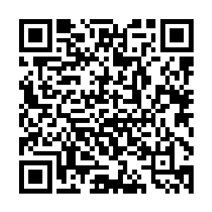 我今日召她们来不过是为了明日平南王妃的生辰之事二维码生成
