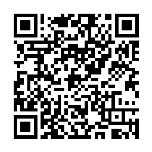 我今日过来是来跟你商量一下凤府那边地契的事情二维码生成