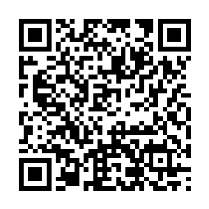 我今早还看到你和李奥出入同一栋大楼的报道――二维码生成