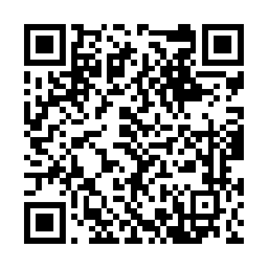 我从倒车镜里还能看到汤思可和韩天秦立在马路边二维码生成