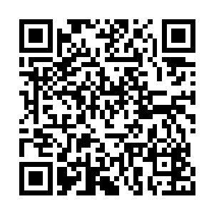 我从小到大也没有发现自己的血脉有问题啊……二维码生成