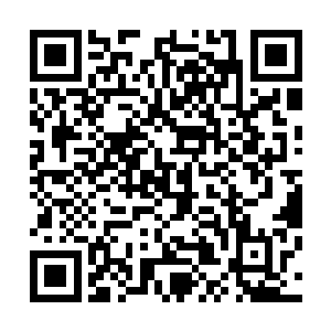 我从小秋的房间里走出来之后发现客厅里没有白奇雪的踪影二维码生成