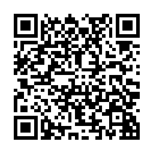 我从李佳佳的身上确实没有感受到定海神珠的气息二维码生成