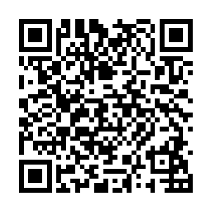 我从来不知道我哥哥还有溺水昏迷了半个月的经历二维码生成